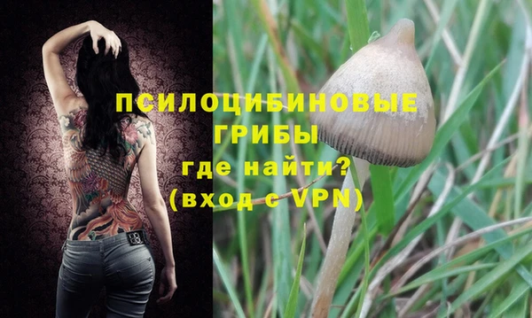 2c-b Абдулино
