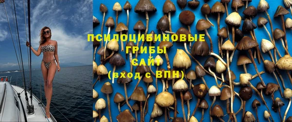 прущие крисы Осташков