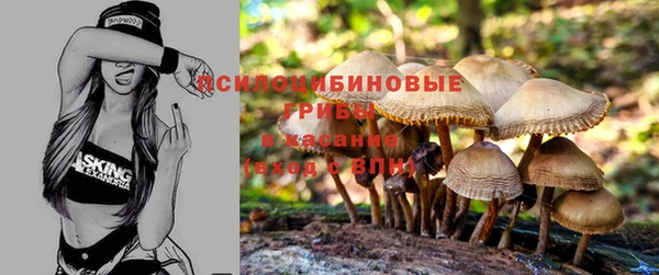 гашиш Абаза