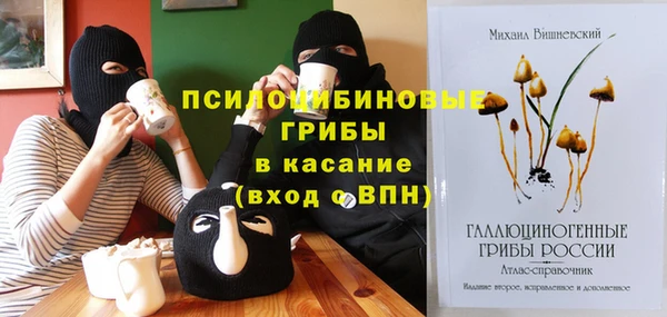 2c-b Абдулино